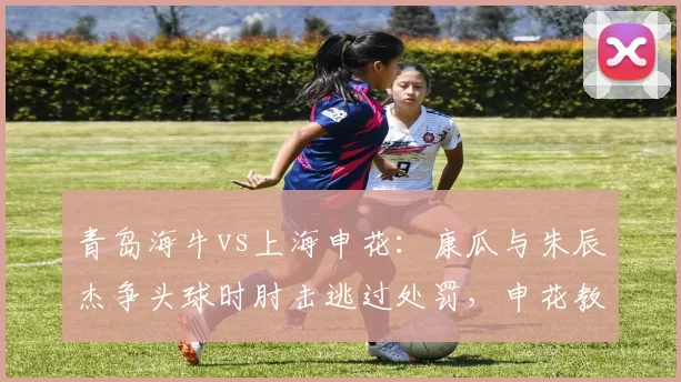 青岛海牛vs上海申花：康瓜与朱辰杰争头球时肘击逃过处罚，申花教练组怒斥裁判双标？
