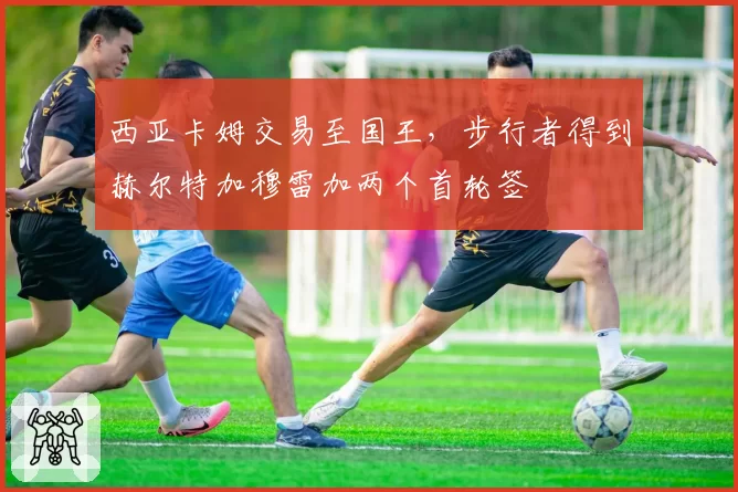 西亚卡姆交易至国王,步行者得到赫尔特加穆雷加两个首轮签
